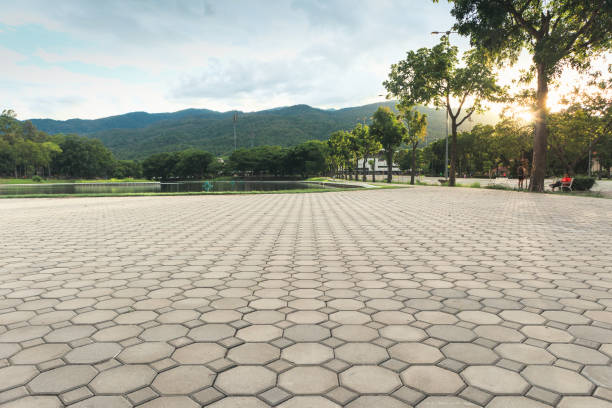 Best Residential Paver Driveway  in Kgsford Heights, IN